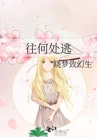 往何处为什么怎么走