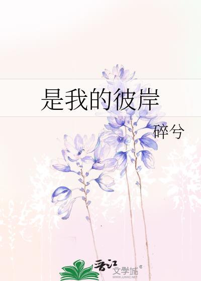 是我的彼岸免费阅读