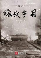 我的谍战岁月电视剧