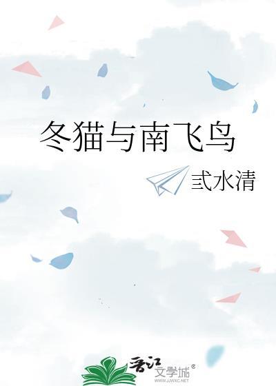 冬猫与南飞鸟